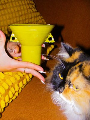 PERSPECTIVE: Ikebana vase